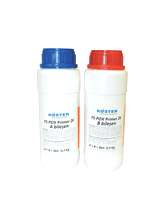 KÖSTER FS-Pox Primer 2K