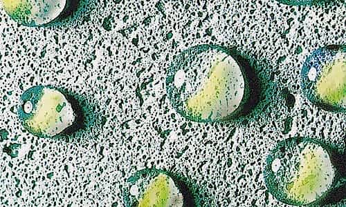 SU YALITIMINDA 4 ALTIN KURAL