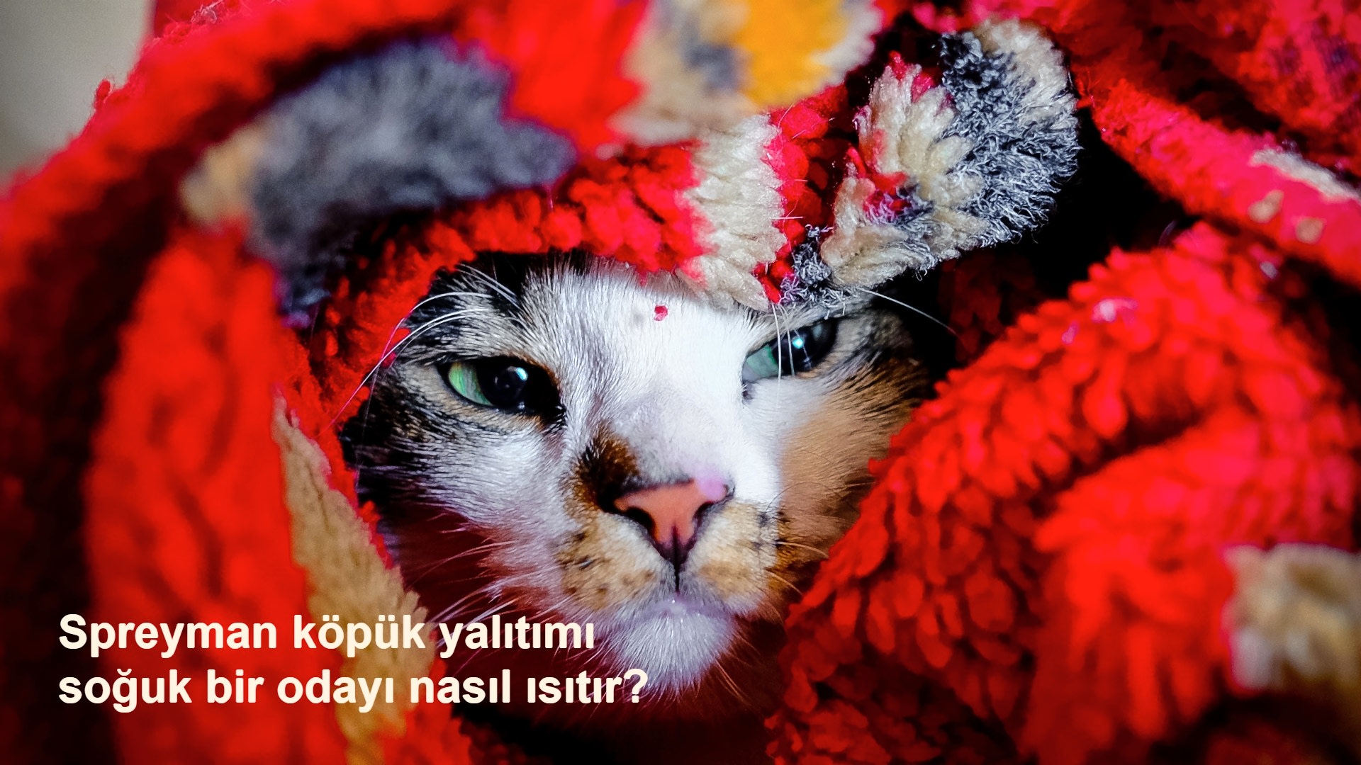 Sprey köpük yalıtımı soğuk bir odayı nasıl ısıtır ?